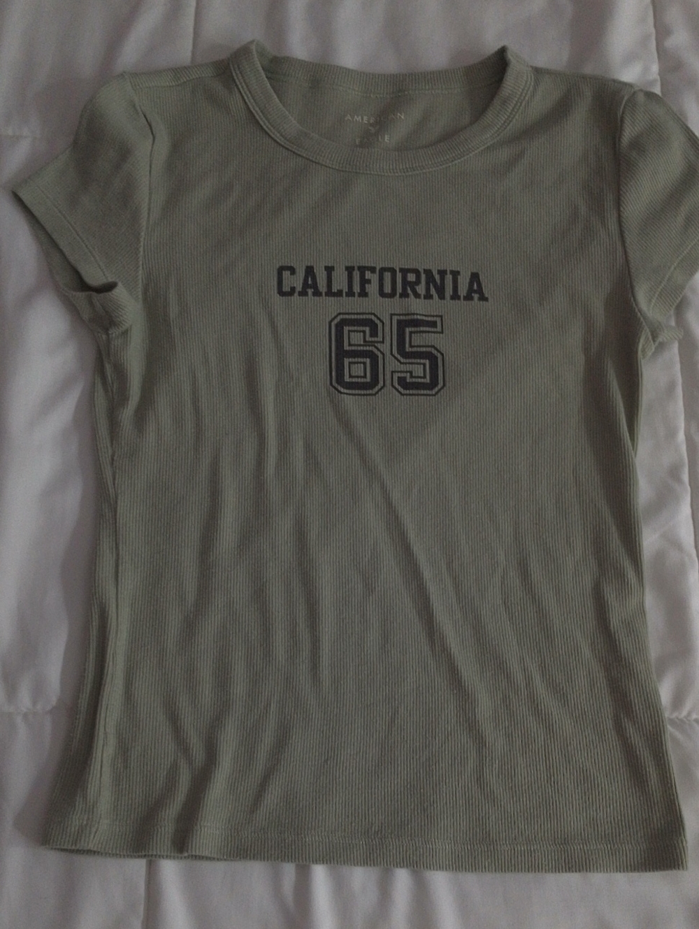 American Eagle Outfitters Ribbed Logo Tee - Sage